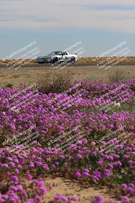 media/Jan-08-2023-SCCA SD (Sun) [[8f6a5b9391]]/Intermediate Group/Session 2 (Short Straight)/